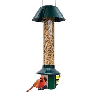 PestOff Squirrel Proof Wild Bird Feeder Mixed Seed Sunflower Heart Version